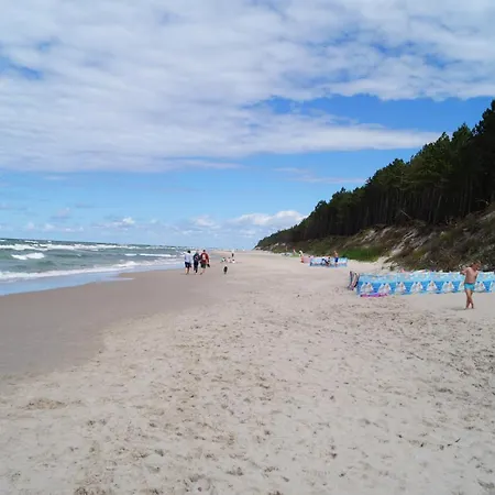 Alex I Maciek * Pleśna