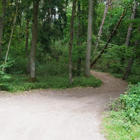 Alex I Maciek Gerendaház *