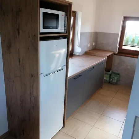 Alex I Maciek Pleśna