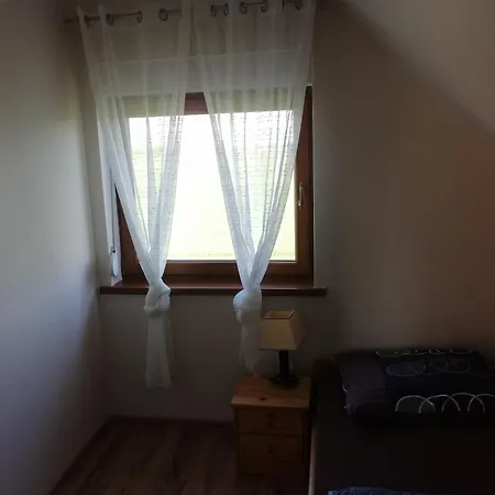 Alex I Maciek Pleśna