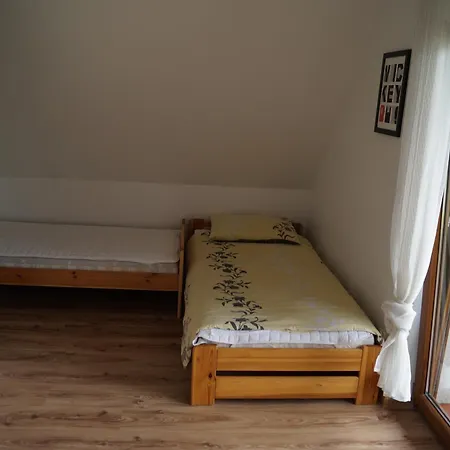 Alex I Maciek Hytte Pleśna