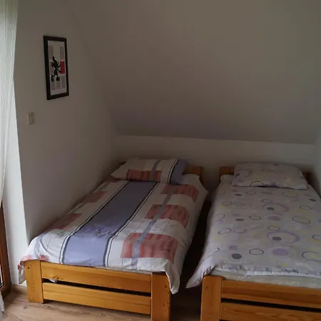 Alex I Maciek Pleśna