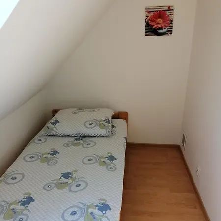 Alex I Maciek * Pleśna