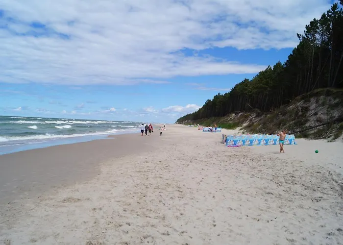 Alex I Maciek * Pleśna