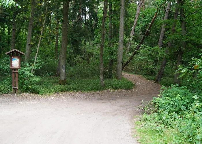 Alex I Maciek Hytte *