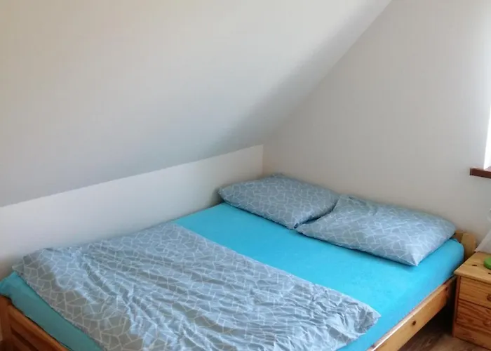 Alex I Maciek Pleśna