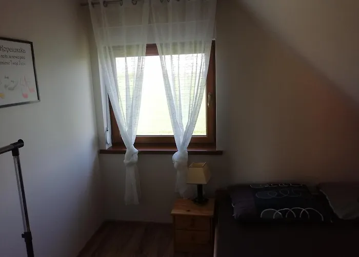 Alex I Maciek Pleśna