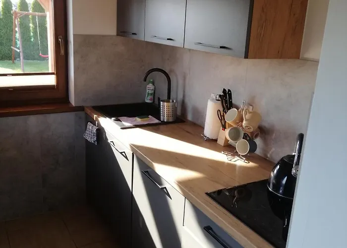 Alex I Maciek Pleśna