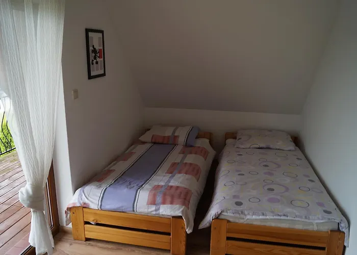 Alex I Maciek Pleśna